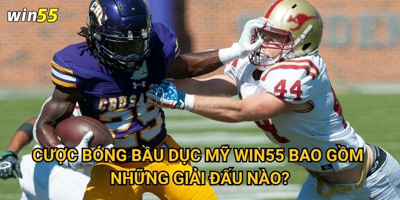 Cược bóng bầu dục Mỹ Win55 bao gồm những giải đấu nào?